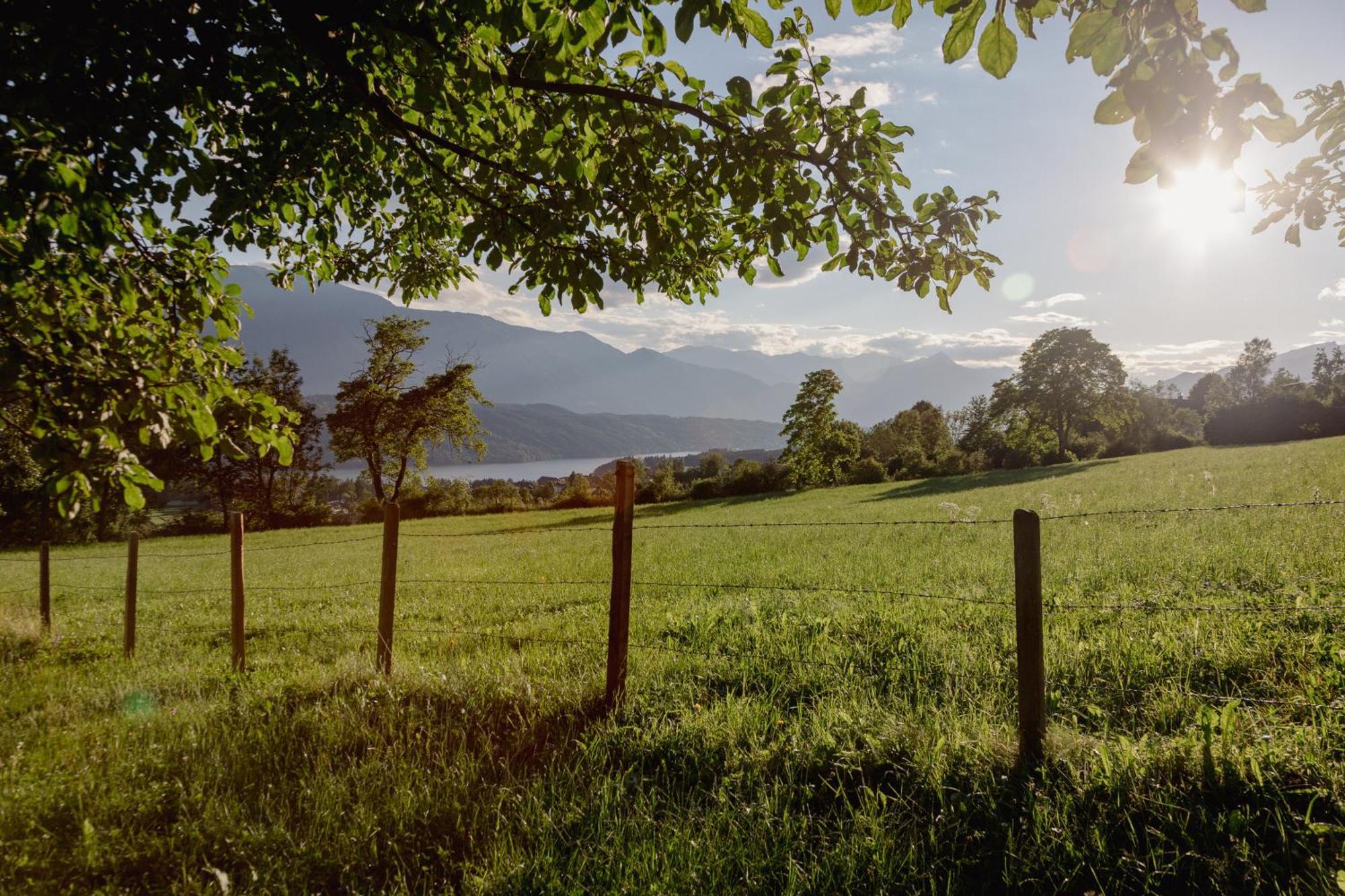 Bio- Und Vitalbauernhof Bacherhof Millstatt Εξωτερικό φωτογραφία