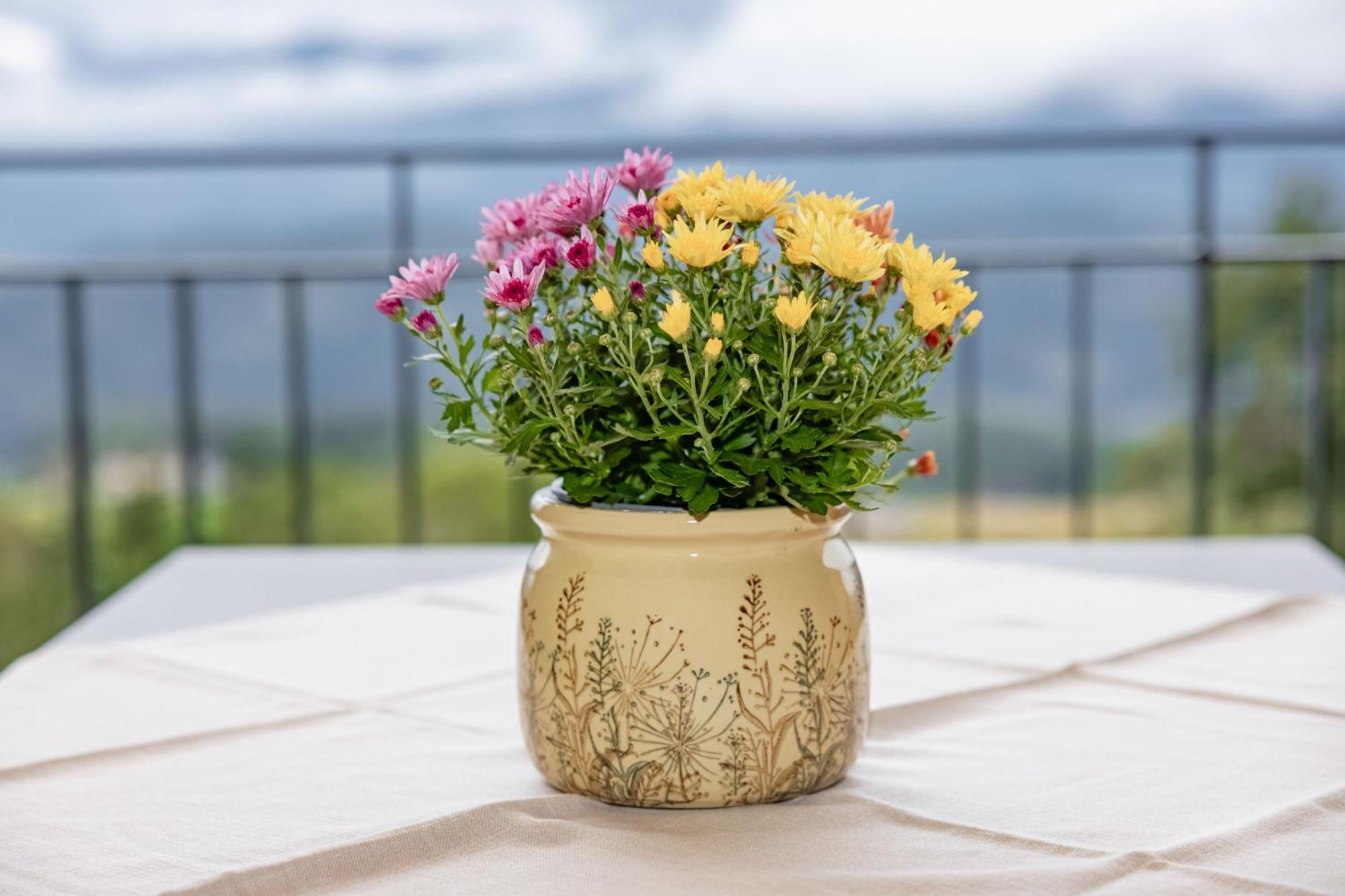Bio- Und Vitalbauernhof Bacherhof Millstatt Εξωτερικό φωτογραφία